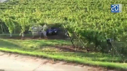 Drôles de vendanges pour la cuvée Petter Solberg