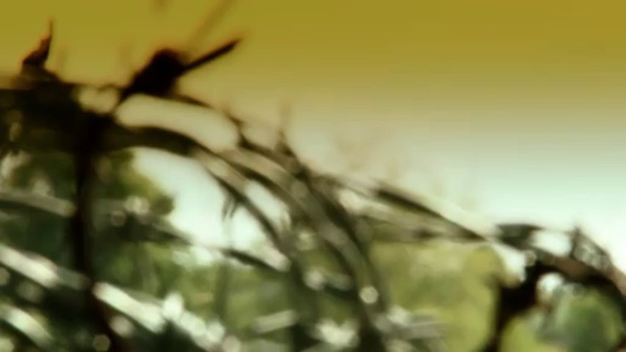 Free Stock Footage - Barbed Wire Grunge Clip 2 - Free HD Stock Video