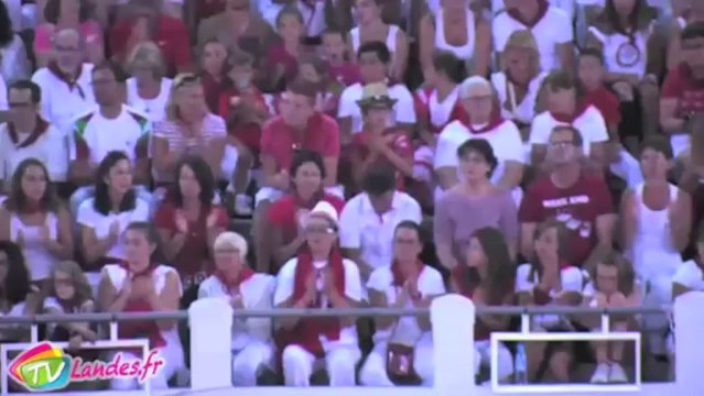 Spectacle équestre aux arènes de Dax.