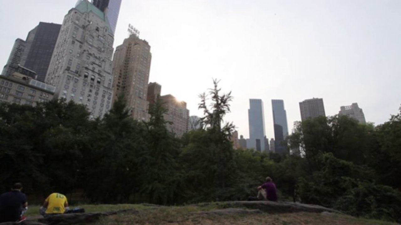 Free Stock Footage - Sun Over Buildings New York