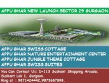 appu ghar service apartment||9873687898||jungle theme Gurgaon