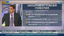 Diversification : le groupement foncier forestier, Philippe Gourdelier dans Intégrale Placements - 01/10