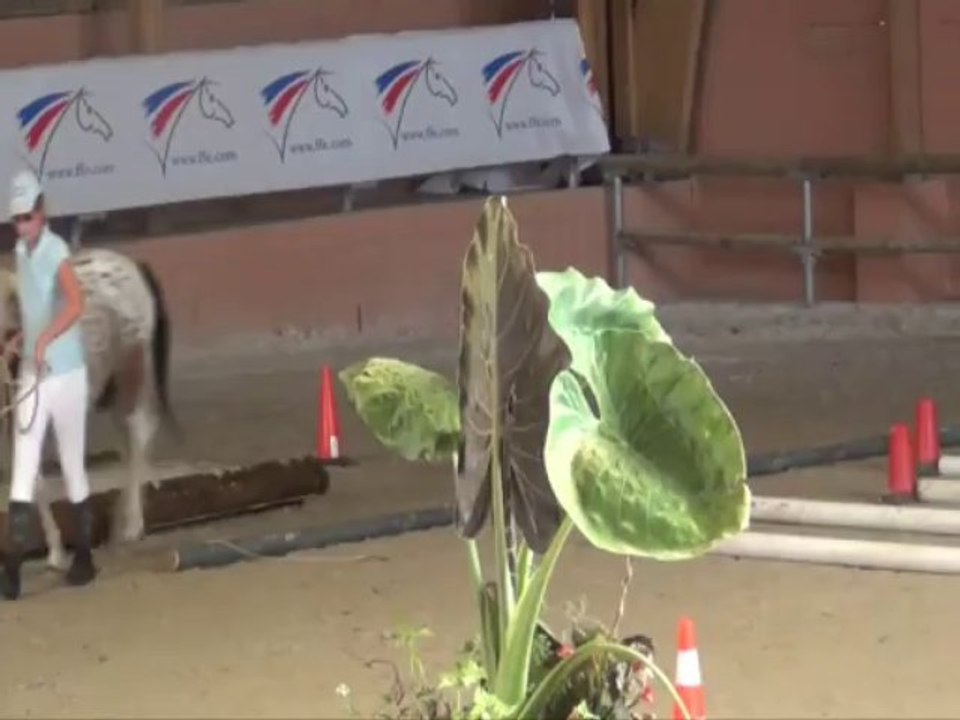 Open de France 2013 Equifeel Club Poney