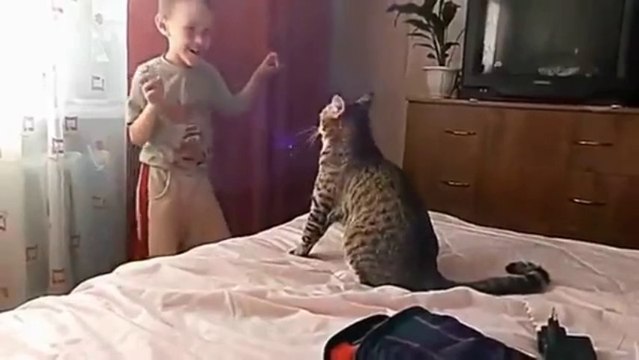 Attendre le bon moment pour attaquer... Chat violent!!