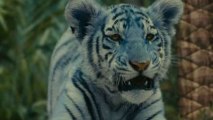 Der Blaue Tiger - Trailer (Deutsch) HD