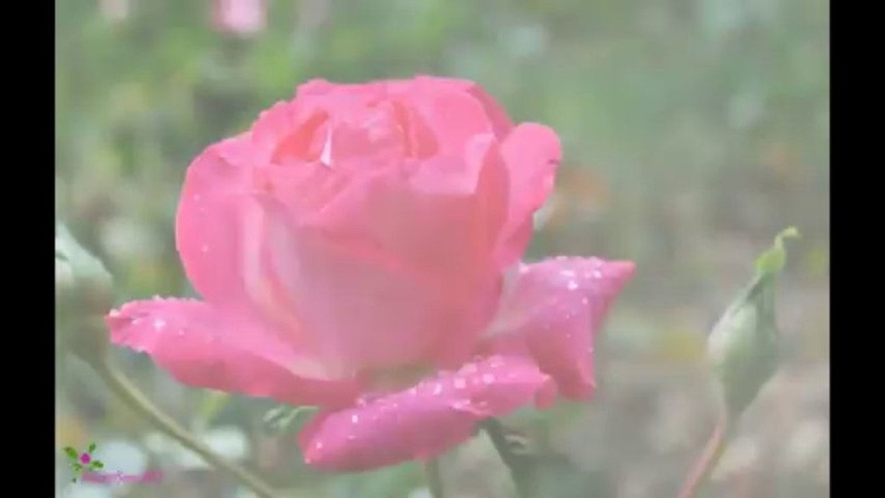 CHANEL Coco Eau De Parfum Spray