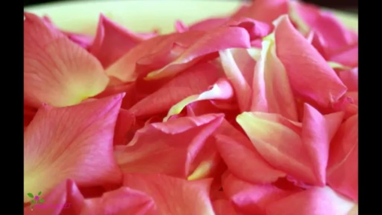 CHANEL Coco Mademoiselle Eau De Parfum