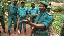 Protección climática y forestal en las cuencas del Congo | Global 3000