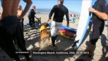 Dog-surfing competition in California - no comment