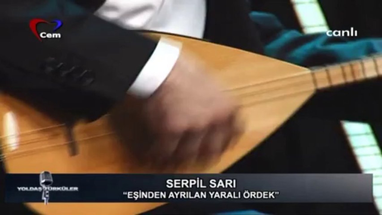02 serpil sarı eşinden ayrılan yaralı ördek 07.04.2013 yoldaş türküler