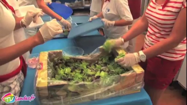 Les bénévoles des férias de Dax.