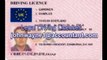 International Drivers Permit and International Drivers License