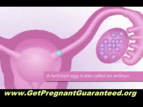 How to Get Pregnant - Pregnancy Miracle Guide Will Help You Get Pregnant Fast and Naturally