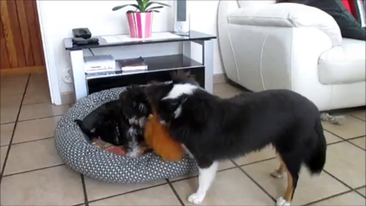 2013.09.30  Izunt'it et It's Me