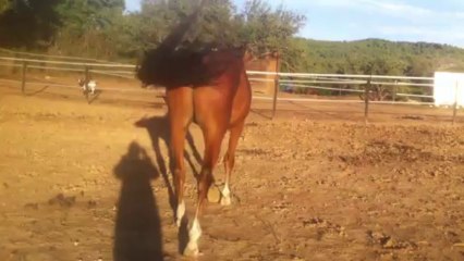 Et...toujours un p'tit tour !