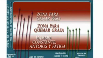 Comer Para Perder Peso - Por Que Fallan La Mayoria de las Dietas
