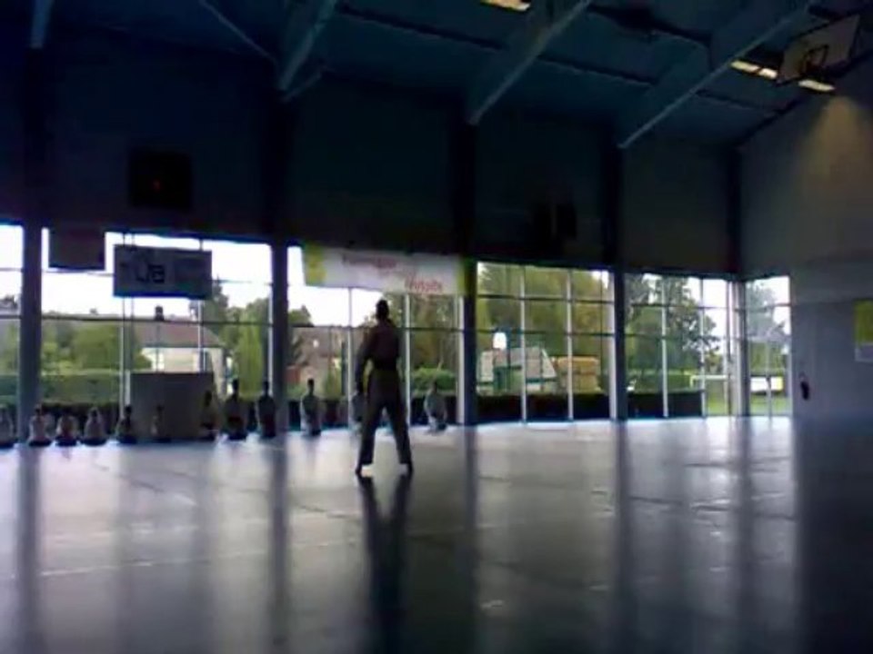 Kata Sepai - Shito Ryu Karate Do