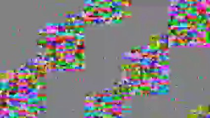 Un anno di Amicizia sincera