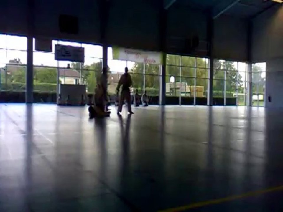 Kata Bassai dai - Shito Ryu Karate Do