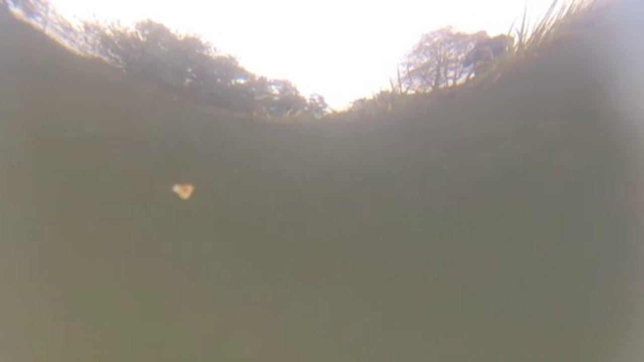 Sous-marin Neptune SB-1 Thunder Tiger Jules Verne vues sous-marine