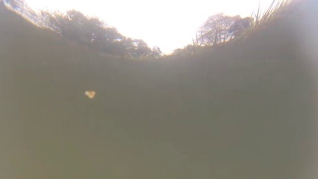 Sous-marin Neptune SB-1 Thunder Tiger Jules Verne vues sous-marine