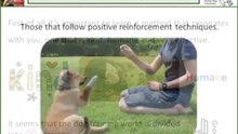 How To Become A Dog Trainer In 3 Simple Steps (Step 2)