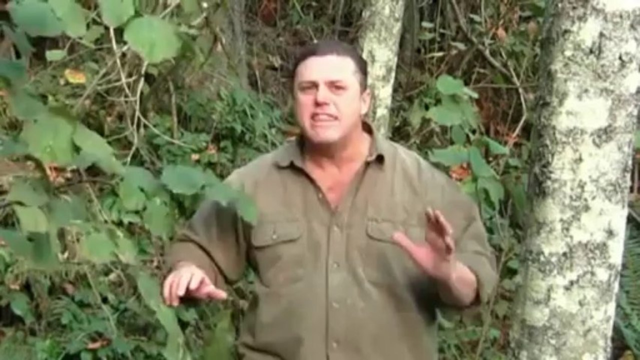 Truth About Abs - How To Trim Belly Fat Fast