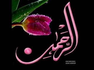 SURATS YASEEN SURAT AL REHMAN