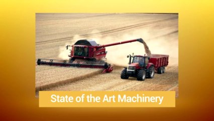 David Wallader Projects- Entrepreneur and Finance Expert