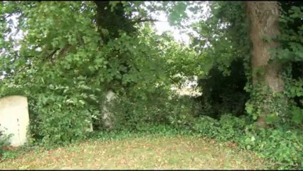 scene from alan pells blood island