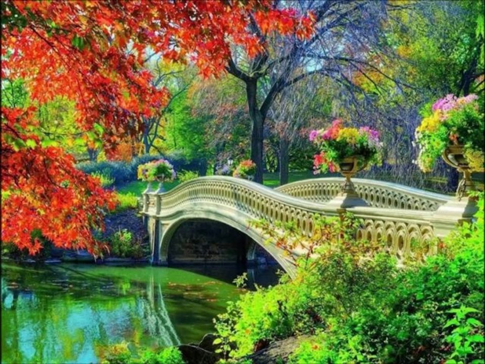 Wonderful  chill out land