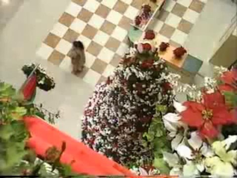 季節はずれの海岸物語 X'masスペシャル４