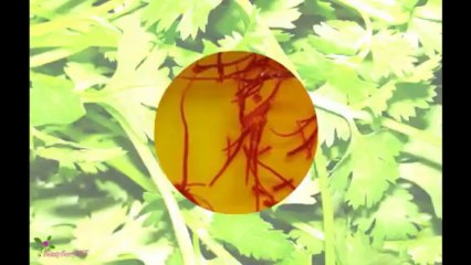 AGENT PROVOCATEUR Eau De Parfum Spray