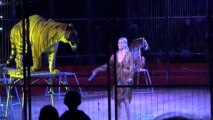 Le cirque ravit les enfants à Auxerre