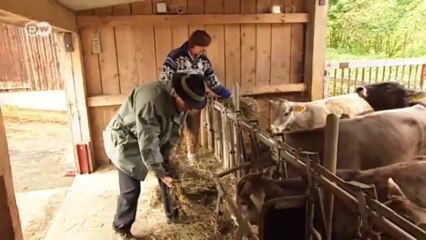 Where Bank Deals are Sealed with a Handshake | Made in Germany