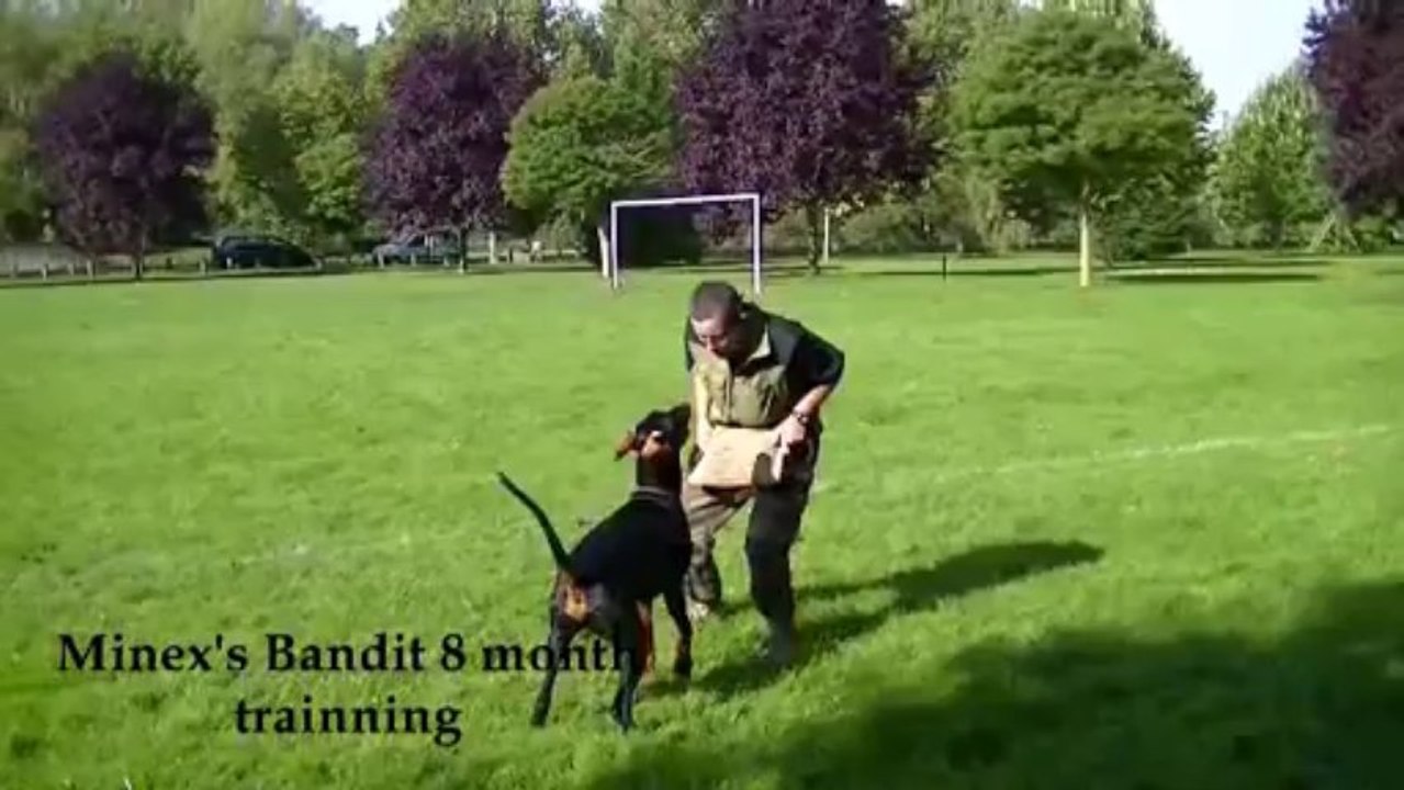 bendit training 3_10_13