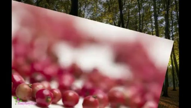 HUGO BOSS In Motion Eau De Toilette Spray