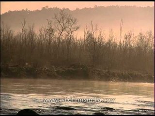 Scenic beauty -Corbett National Park
