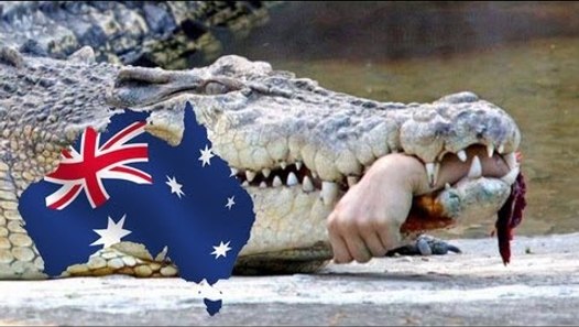Crocodile attacks and kills man in front of friends in Australia's