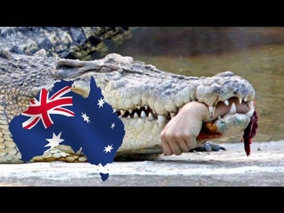crocodile-attacks-and-kills-man-in-front-of-friends-in-australia-s