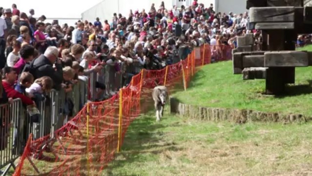 La Fête de la Forêt de Sénart à la Belle Epoque
