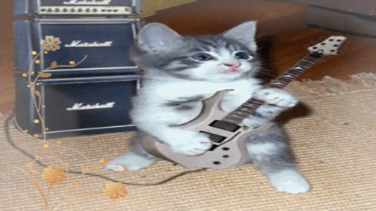 Les copains d'abord..à la guitare