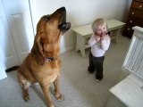 Baby And Dog Start Blues Band - Funny Videos at Fully :)(: Silly