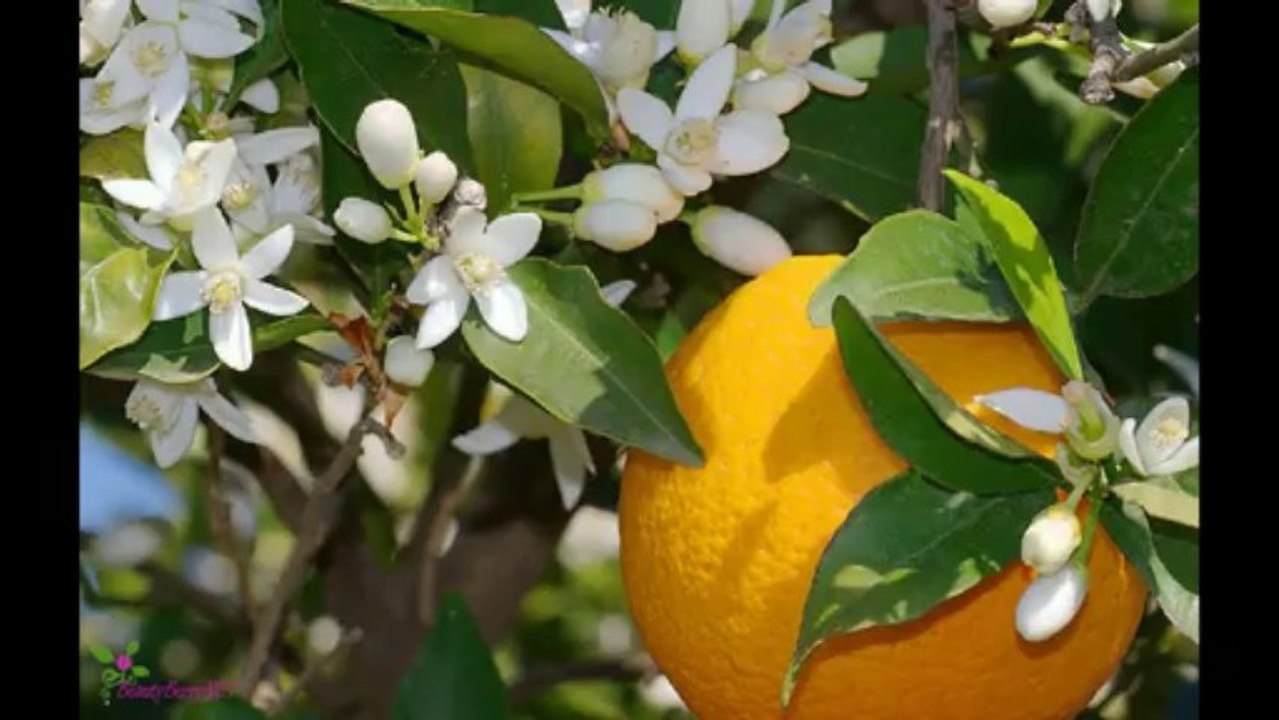 PACO RABANNE Lady Million Eau De Parfum Spray