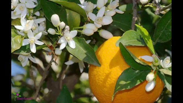 PACO RABANNE Lady Million Eau De Parfum Spray