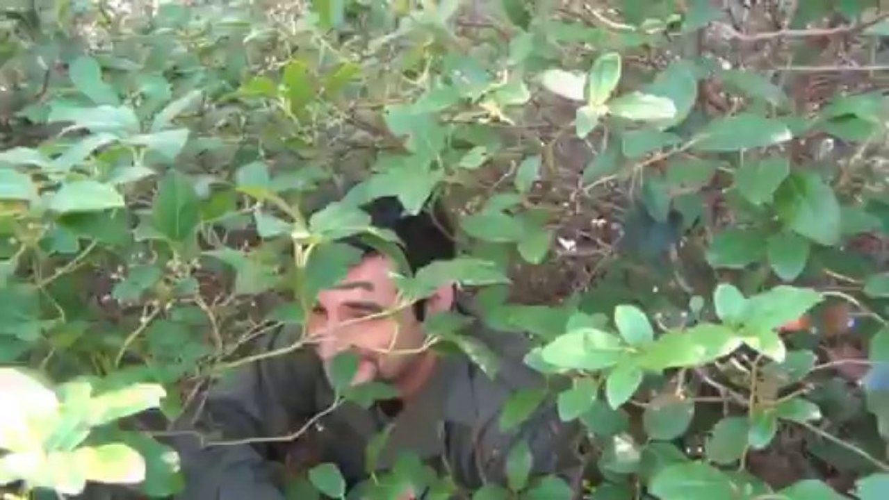 Purple Heart 2  Les gaffes