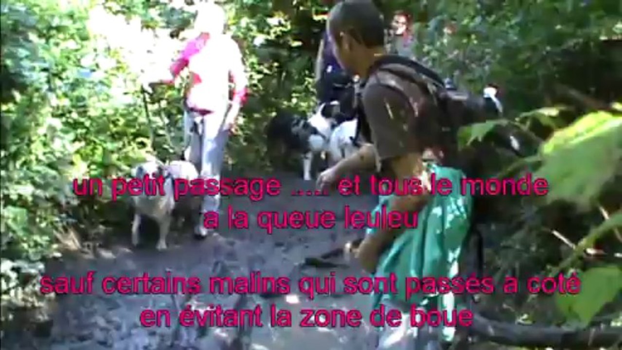 cani rando de rentrée de cani sport 33