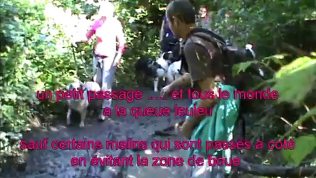 cani rando de rentrée de cani sport 33