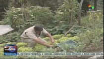 Colombia busca proteger y preservar las semillas nativas