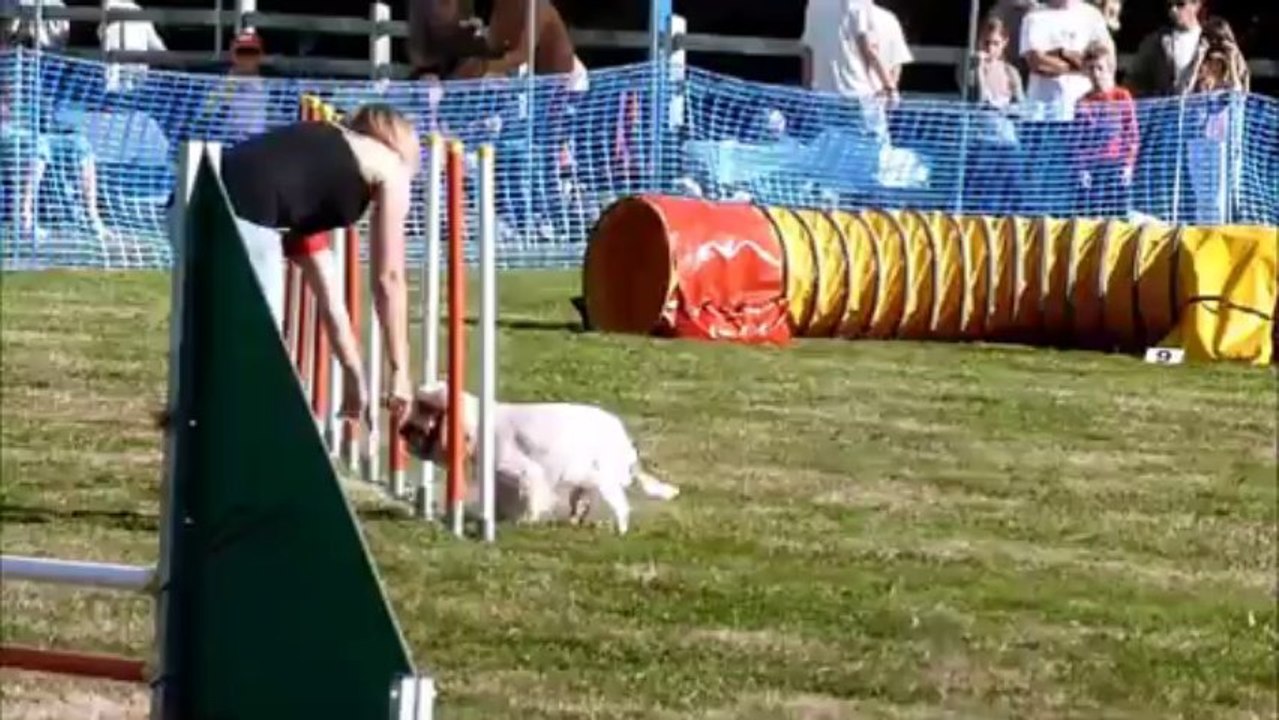 jumping agility elfie